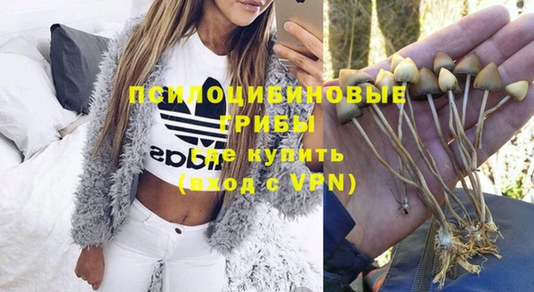 стафф Костерёво