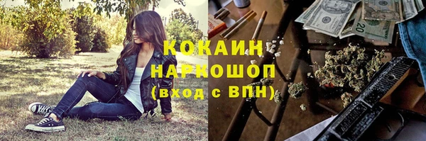 прущий лед Корсаков