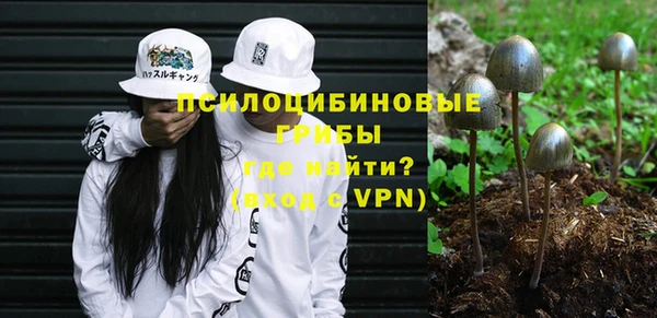 метадон Коряжма
