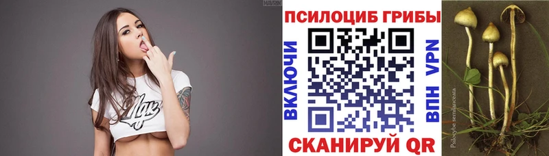 Псилоцибиновые грибы мицелий  наркотики  Невинномысск 